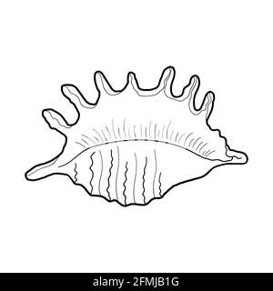 Handgezeichnete Muschel aus gravierter Linie. Design-Element für Einladungen, Grußkarten, Poster, Banner, Flyer und mehr.Vektor-Illustration Stock Vektor