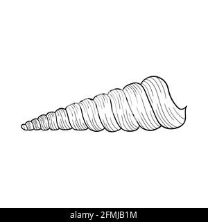 Handgezeichnete Spiralschale aus gravierter Linie. Design-Element für Einladungen, Grußkarten, Poster, Banner, Flyer.Vektor-Illustration isoliert Stock Vektor