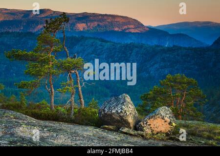 Morgenlicht und Alpenglow in Nissedal, Telemark, Norwegen, Skandinavien. Stockfoto