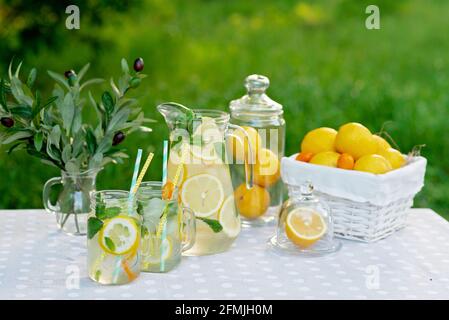 Limonade-Erfrischungsgetränk in einem Krug und Gläser mit Zitronen, Minze und Eis mit einem Korb mit Zitronen und Kumquat auf einem Gartentisch. Picknick im Sommer im Freien. Stockfoto