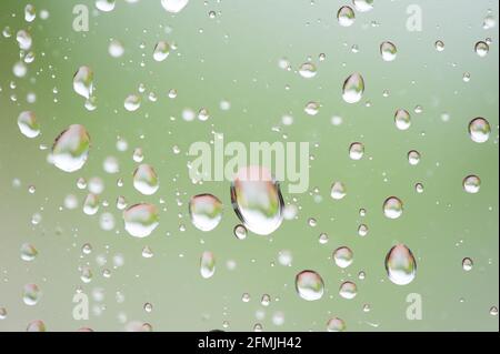 Regentropfen auf dem Fenster mit grünem Laubhintergrund. Stockfoto