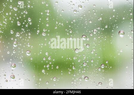 Regentropfen auf dem Fenster mit grünem Laubhintergrund. Stockfoto
