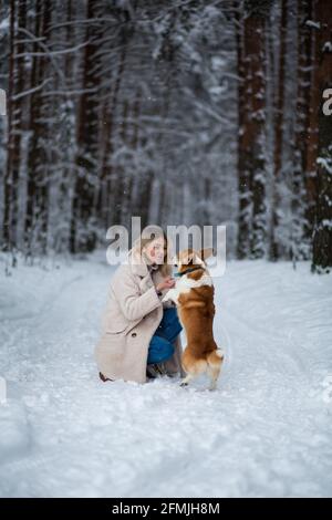 Die junge blonde Hündin spielt mit ihrem walisischen Corgi pembroke in einem winterverschneiten Wald. Stockfoto