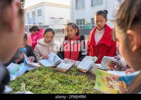 Gruppe von Mittelschülerinnen und Mittelschülerinnen der Lixian Grundschule lesen vor Schulbeginn. Stockfoto