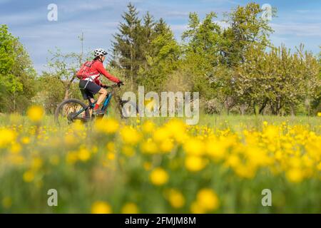 Nette ältere Frau auf einem Elektrofahrrad auf einer Wiese mit gelb blühenden Frühlingsblumen in der Nähe von Stuttgart, Deutschland Stockfoto