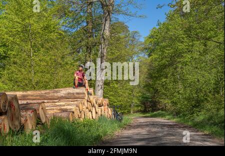 Nette und verbliebene junge ältere Frau, die während einer Radtour in einem Frühlingswald in der Str. auf einem Baumstämmen-Haufen saß und eine Rast hatte Stockfoto