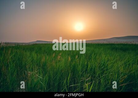 Schöne Wüste Querformat in Dschidda Saudi-Arabien Stockfoto