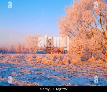 Großbritannien, England, Cheshire, Rostherne Church, Winterszene, Morgendämmerung, Stockfoto