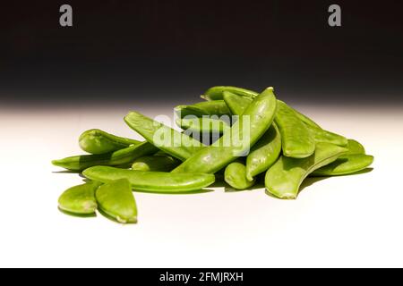 Fresh Sugar Snap Erbsen auf einem abgestuften Hintergrund, Northampton, England, Großbritannien. Stockfoto