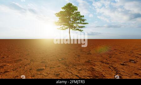 Konzept oder konzeptuelle Wüstenlandschaft mit einem grünen Baum als Metapher für globale Erwärmung und Klimawandel. Stockfoto