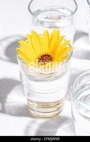 Frisches klares Wasser Getränk mit gelber Blume im Glas auf weißem Hintergrund, hartes Licht kreative Komposition, Winkelansicht Stockfoto