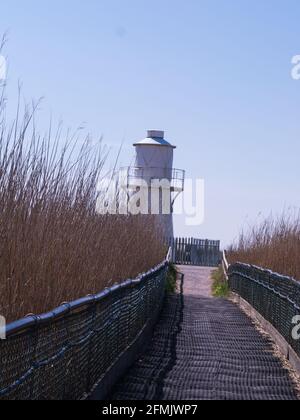 Boardwalk durch Reeds zum East Usk Lighthouse in Newport Wetlands Naturschutzgebiet im Besitz und verwaltet von Natural Resources Wales Nash Gwent South Wales Stockfoto