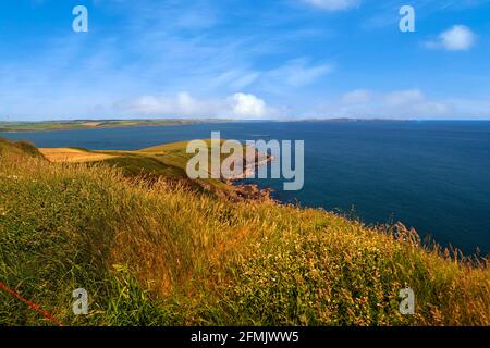 Coolum Headland mit Blick auf den Atlantischen Ozean in der Grafschaft Cork, Irland. Stockfoto