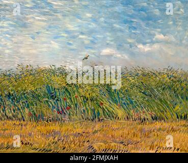 Weizenfeld mit Lark, Vincent van Gogh, 1887 Stockfoto