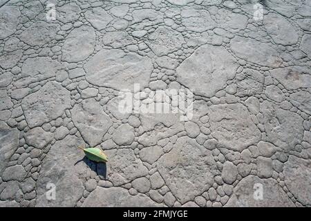 Draufsicht auf gestanzten Betonpflaster im Freien, Steinmuster, Bodenbelag außen, dekorative graue Farbe und Textur des Zementpflasters Stockfoto