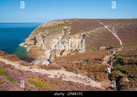 Wandern Sie auf dem Küstenweg mit Blick auf das Iroise-Meer und einen abgelegenen Strand, Cap de la Chevre, Armorique Regional National Park, Halbinsel Crozon, FI Stockfoto