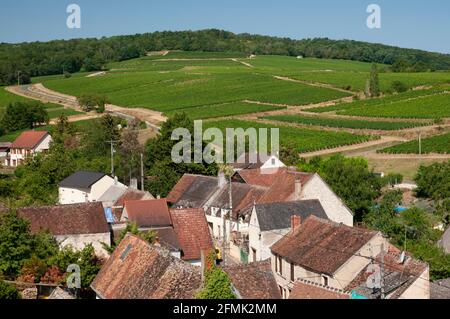 Sancerre Weinberge und Dorf Menetreol-sous-Sancerre, Cher (18), Centre-Val de Loire Region, Frankreich Stockfoto