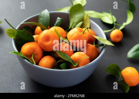 Frisch gepflückte Mandarinen mit Blättern auf schwarzem Hintergrund. Stockfoto