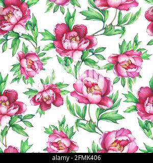 Vintage florales nahtloses Muster mit blühenden rosa Pfingstrosen, auf weißem Hintergrund. Eleganz Aquarell handgezeichnete Malerei Illustration. Isoliert. Stockfoto