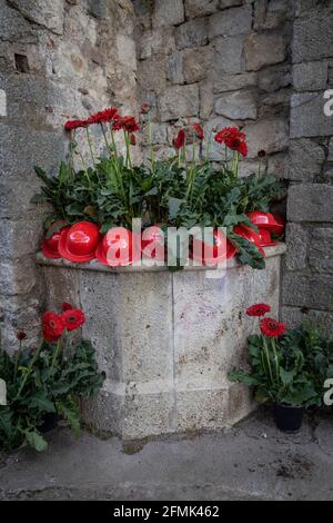 2021 Girona Blumenschau, 'Temps de Flors', findet jährlich im historischen Stadtzentrum statt Stockfoto