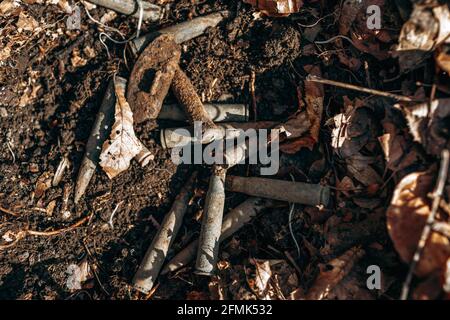 Gebrauchte Gewehrschalen auf dem Boden im Wald Stockfoto