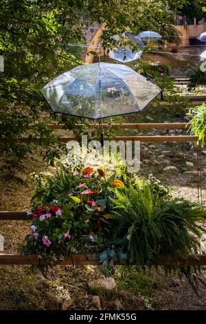 2021 Girona Blumenschau, 'Temps de Flors', findet jährlich im historischen Stadtzentrum statt Stockfoto