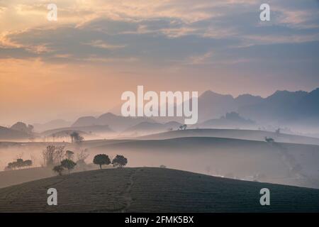 Sonnenaufgang auf dem MOC Chau Tea Hill, MOC Chau Village, Provinz Son La, Vietnam Stockfoto