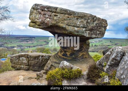 Felsformationen bei Brimham Rocks Stockfoto