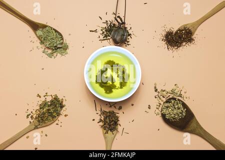 Zusammensetzung mit verschiedenen Arten von Pflanzen für Infusionen, mit einem grünen Tee Infusion in der Mitte, auf einem rosa Hintergrund, Konzept der integralen Gesundheit Stockfoto
