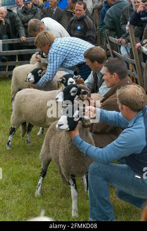 Farmers at Muker Show, die Anfang September in dem kleinen Dorf in Swaledale stattfand. Yorkshire Dales, Großbritannien. Stockfoto