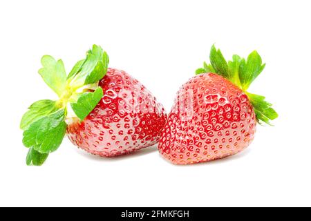 Zwei frische Erdbeeren aus der Nähe auf weißem Hintergrund isoliert Stockfoto