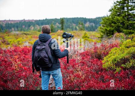 Junger Fotograf mit Kamera und Stativ stabilisierendes Gimbal Wandern auf dem herbstlichen Bear Rocks Trail in Dolly Sods, West Virginia Drehvideo von Red h Stockfoto