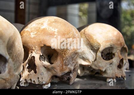 Häftlingsschädel im Choeung Ek Kriegsverbrechen Völkermord Museum, vom Khmer Rouge Regime als Sicherheitsgefängnis verwendet. Phnom Penh, Kambodscha Stockfoto