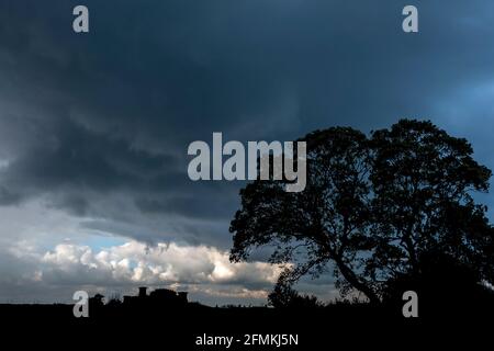 Sammeln von Sturmwolken hinter einem Baum mit Silhouetten an Gebäuden Der Horizont Stockfoto