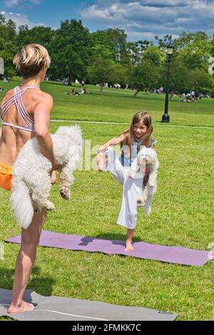 Mädchen mit Hund tut Yoga-Übungen in der Natur im Freien auf Grünes Gras auf der Fitnessmatte, Primerose Hill Park, London, Großbritannien Stockfoto