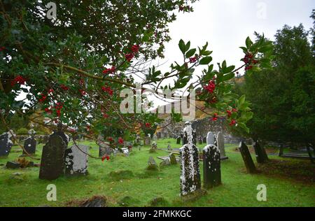 Herbstlandschaft mit Panoramablick auf den Friedhof von St. Kevin in der Landschaft von Glendalough Valley County Wicklow, Irland. Stockfoto