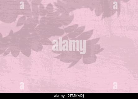 Natürliches Licht wirft Schatten von einem Rowan-Zweig auf eine rosa Wand. Der Effekt von Schatten. Transparentes, weiches Licht und Schatten von den Ästen Stockfoto