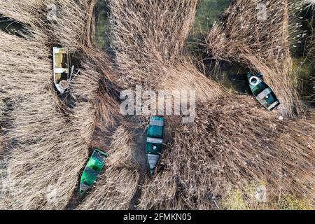 Boote zwischen den Büschen auf dem See, Luftaufnahme, Foto von einer Drohne. Stockfoto