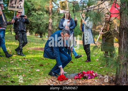 Der russische Botschafter in Australien, Alexey Pavlovsky, legt rote Nelken auf eine Gedenktafel für sowjetische Soldaten. „Unsterbliches Regiment“, ein Teil der Feier zum Victory Day am 9. Mai im Memorial „Shrine of Remembrance“ in Melbourne. Der marsch des Unsterblichen Regiments wurde vom russischen Botschafter in Australien und einem ersten Sekretär der russischen Botschaft besucht und ist Teil einer weltweiten Siegesfeier. Menschen mit Fahnen, Transparenten und vor allem Fotos ihrer Familienmitglieder, die im Weltkrieg 2 kämpften, marschierten durch die Straßen Melbournes. Der marsch erinnert an alle gefallenen Soldaten Stockfoto