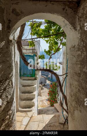 Traditionelle Gasse mit einer schmalen Straße, einem weiß getünchten Haus mit einer blauen Tür, einer Weinrebe und einem Bogen auf der Insel isternia Tinos, Griechenland. Stockfoto