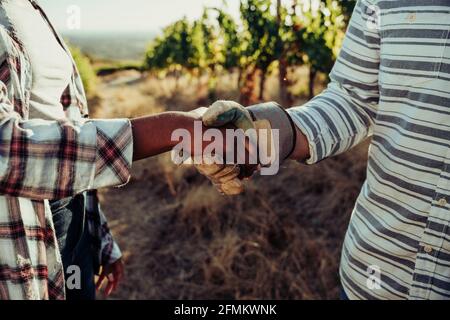 Gemischtes Rennen machen und weibliche Kollegin schüttelt die Hände nach erfolgreich Ernte Stockfoto