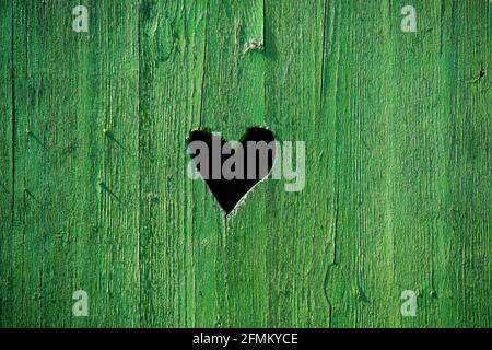 Herzförmiges Loch in einer grünen Holztür Stockfoto