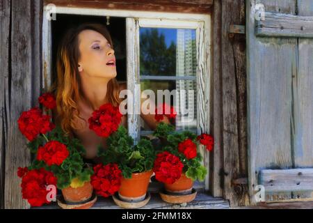 Nürnberg, Franken, Bayern, zaubernd schöne junge Frau blickt aus alten Holzfenstern mit Blumen am Fensterbrett Stockfoto