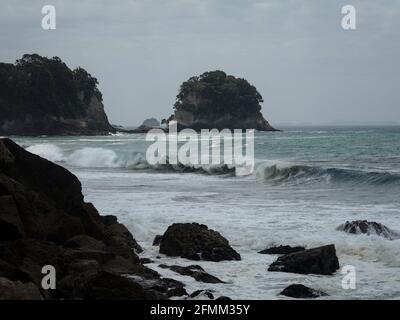 Die Felsformationen am Strand von Whiritoa sind am Ufer der Pazifikküste zu finden Strand in Hauraki Coromandel Peninsula Waikato Nordinsel Neuseeland Stockfoto