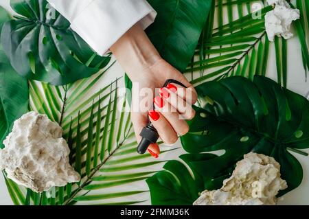 Maniküre - schöne gepflegte Frauennägel mit rotem Nagellack auf grünen Blättern tropischem Hintergrund. Öl für Nagelhaut in der Hand. Stockfoto