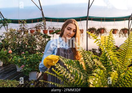 Frau im Gewächshaus mit gelber Gießkanne in der Nähe von Farn. Stockfoto