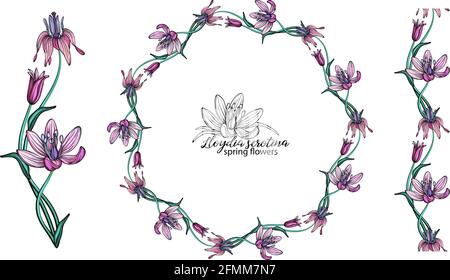 Set von rosa Blumen. Kranz. Bouquet. Frühlingsblumen Stock Vektor