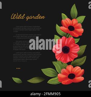 Blumen. Webbanner-Vorlage mit rotem Mohnblumen auf schwarzem Hintergrund. Vektorgrafik Stock Vektor