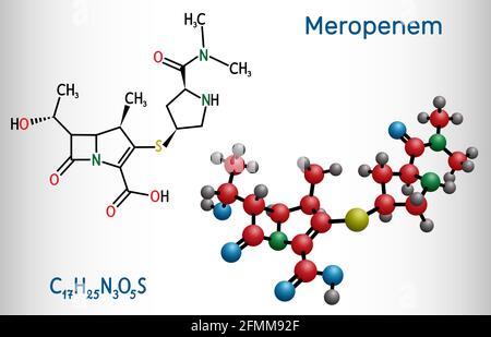 Meropenem-Molekül. Es ist ein Breitband-Carbapenem-Antibiotikum. Strukturelle chemische Formel und Molekülmodell. Vektorgrafik Stock Vektor