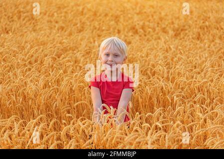 Fröhlicher blonder Junge geht auf dem Feld zwischen reifen Ähren aus Weizen. Stockfoto